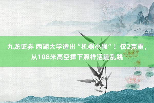 九龙证券 西湖大学造出“机器小强”！仅2克重，从108米高空摔下照样活蹦乱跳