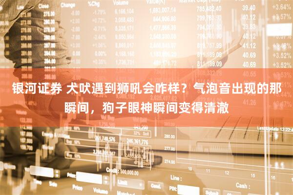银河证券 犬吠遇到狮吼会咋样？气泡音出现的那瞬间，狗子眼神瞬间变得清澈