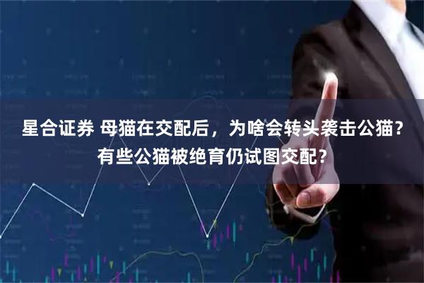 星合证券 母猫在交配后，为啥会转头袭击公猫？有些公猫被绝育仍试图交配？