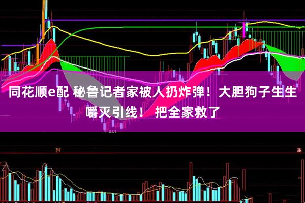 同花顺e配 秘鲁记者家被人扔炸弹！大胆狗子生生嚼灭引线！ 把全家救了