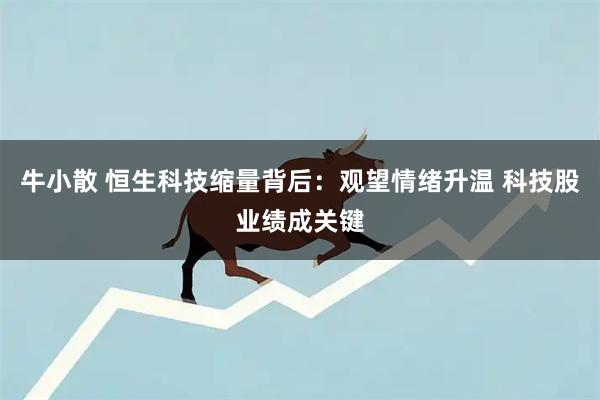 牛小散 恒生科技缩量背后：观望情绪升温 科技股业绩成关键