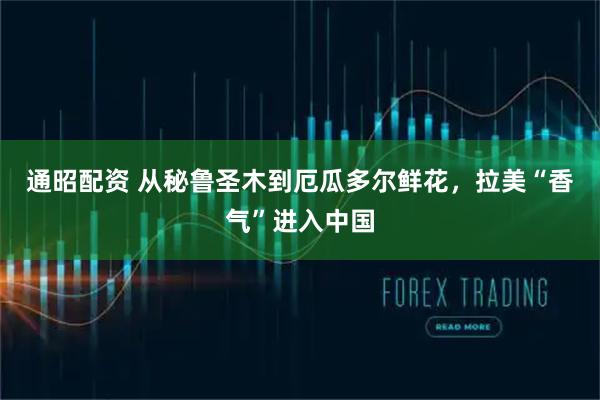 通昭配资 从秘鲁圣木到厄瓜多尔鲜花，拉美“香气”进入中国