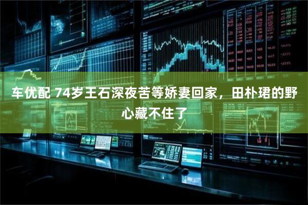 车优配 74岁王石深夜苦等娇妻回家，田朴珺的野心藏不住了