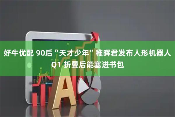 好牛优配 90后“天才少年”稚晖君发布人形机器人Q1 折叠后能塞进书包
