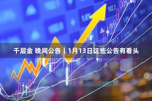 千层金 晚间公告｜1月13日这些公告有看头