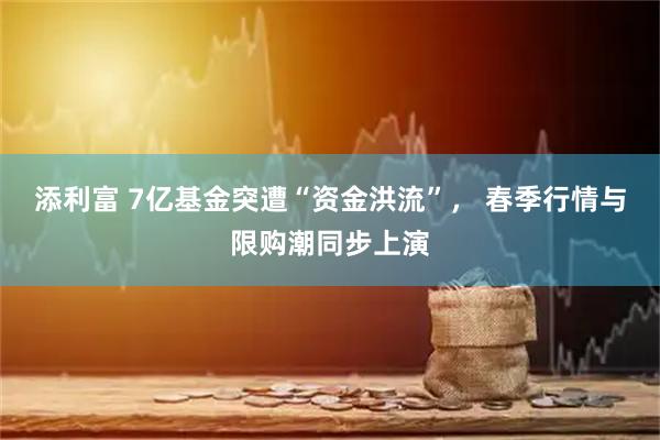 添利富 7亿基金突遭“资金洪流”， 春季行情与限购潮同步上演
